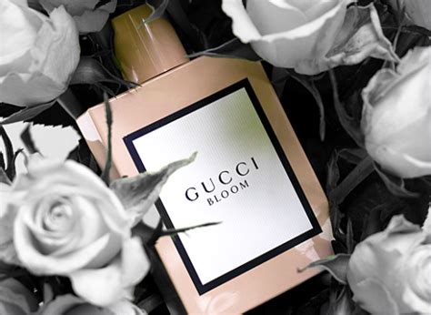 profumeria rimini gucci bloom